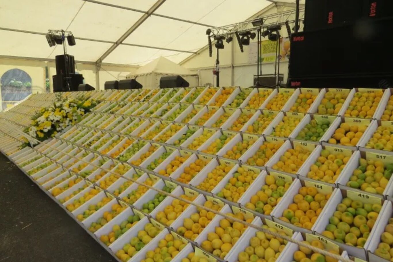 Festa do Limão ou Exposição Regional do Limão